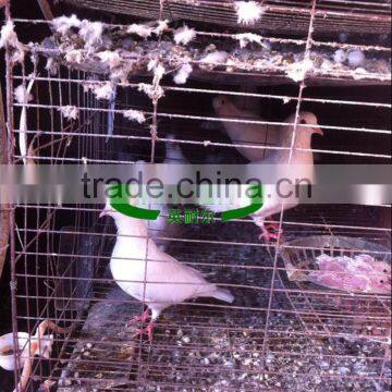 Galvanized 2m 4 Tier 16 Nests Pigeon Transport Cage photo-5
