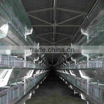 Durable Automatic Hot Dip Galvanized Layer Poultry Cage