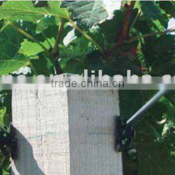 Polyester Monofilament Wire