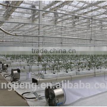 Hydroponic Fruit and Vegetable Glass Greenhouse