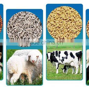 China Manufacturer Rotary Distributor / Feed Bucket Elevator Price photo-6