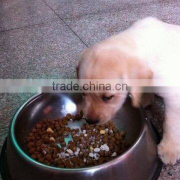 Machines to Make Bird Food photo-3