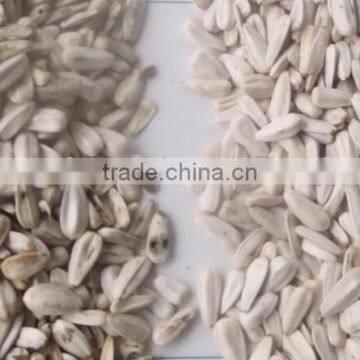 Automatic CCD Color Sorter/seperator Machine Price for Sunflower Seeds photo-2