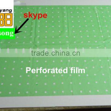 Green Color PE Agricultural Plastic Perforated Film With UV for Protective Tomato Tree photo-2