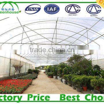 Hot selling Agricultural Tunnel Poly Film Commercial Greenhouse For Sale