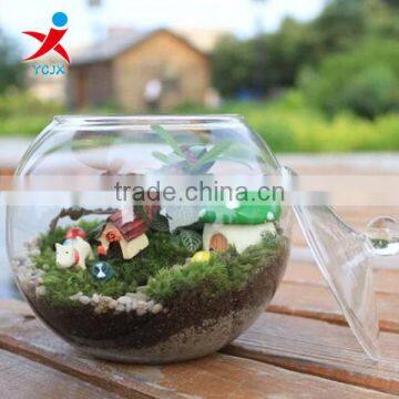 Clear Borosilicate Glass Indoor Plant Terrarium/ Empty Round Glass Fish Tank