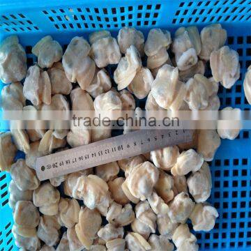 Hot Sales Frozen Surf Clam Meat photo-5