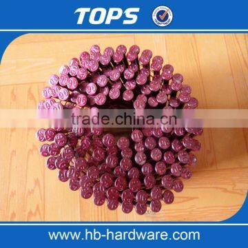 Plastic Collated/electro Galvanized Coil Nails photo-2