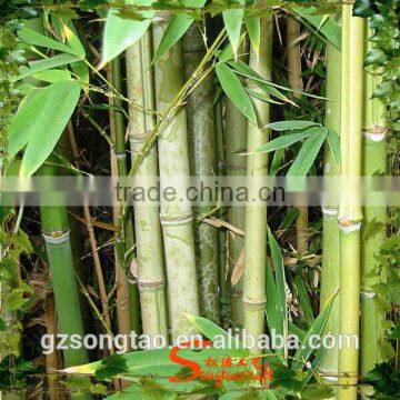 Chinses Factory Cheap Artificial Lucky Bamboo Wholesale Artificial Bamboo Tree Bamboo Poles Wholesale for Home photo-6