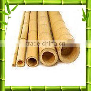 Natural raw bamboo canes/bamboo poles