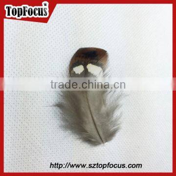 Hot Sale Dyed Wholesale Natural Cheap Artificial Pheasant Feathers Prices photo-2