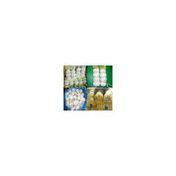 Normal White Garlic
