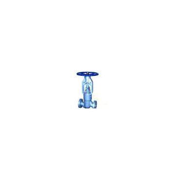 A351 globe valve