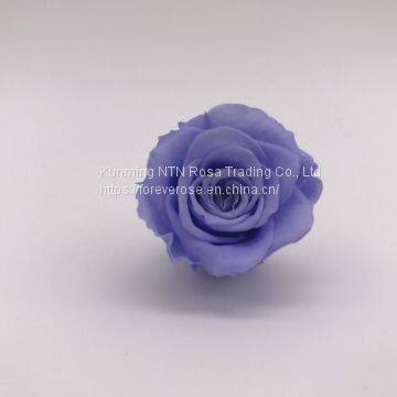 Preserved Flower Rose for Decor Supplies photo-2