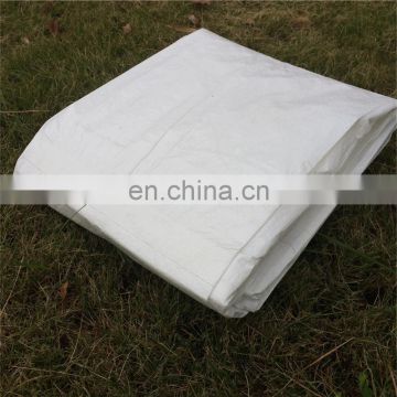 Pe woven tarpaulin fire retardant 40 x 60 tarp