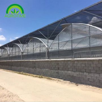 2019 high quality steel structures  glass house multi span greenhouse with hydroponic system for planting