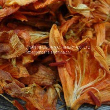 Lily Dried Tea Drying Oven photo-5