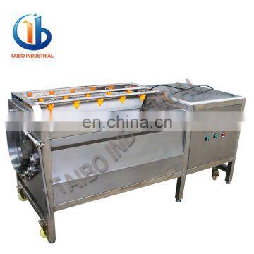 TBQT300 brush roller vegetable washing machine vegetable washing and peeling machine tomato/ginger washing and peeling machine