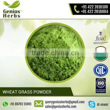 Anti-Oxidant Wheat Grass Powder Available at Top Market Rate