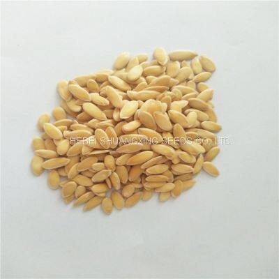 Sweet Star No.21 Resist Diseases Hybrid Musk Melon Seeds photo-5