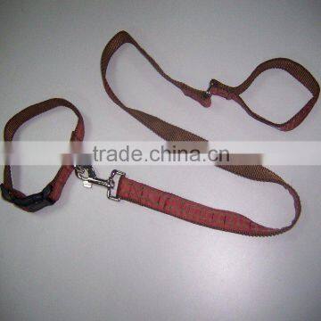 fashion pet leashes