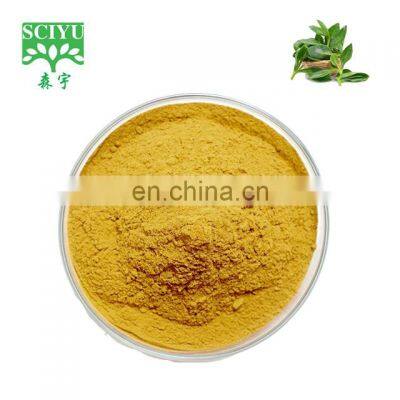 Andrographis paniculata extract powder  real raw materials