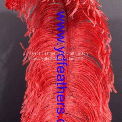 Ostrich Feather Dyed Red From China