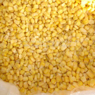 Frozen Sweet Corn photo-2