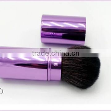 2016 Factory direct sale purple retractable handle power brush