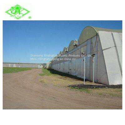 Best Selling 5 Years Warranty PO Film UV Stabilized Plastic Greenhouse Cover For Pertanian photo-3
