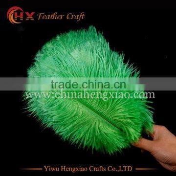 CHINA HX 8-10 Inch Ostrich Feather for Sale