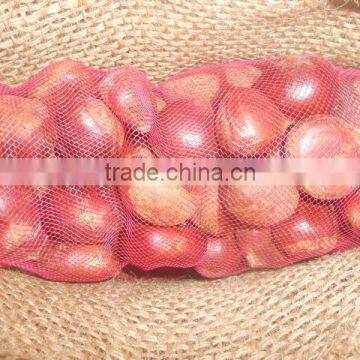 Fresh Style and Chestnut Type Fresh Chestnut