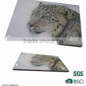 Animals magnet Cheap Customized epoxy fridge magnet