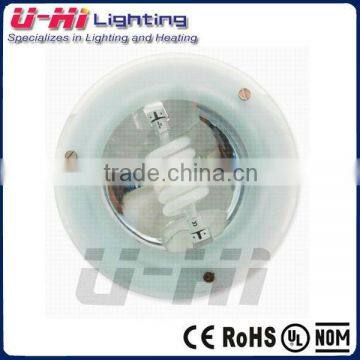 ceiling floodlight, downlight ,ceiling light