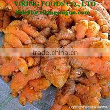 VIETNAM FRESH TURMERIC GOOD QUALITY, COMPETITIVE PRICE