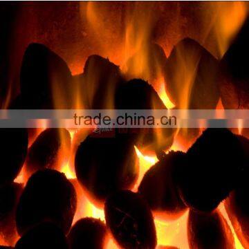 Popular in the Market Charcoal Ball Press Machine photo-6