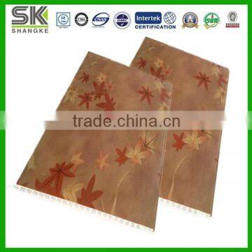 Kitchen Suspended Ceiling DF-C036 photo-3