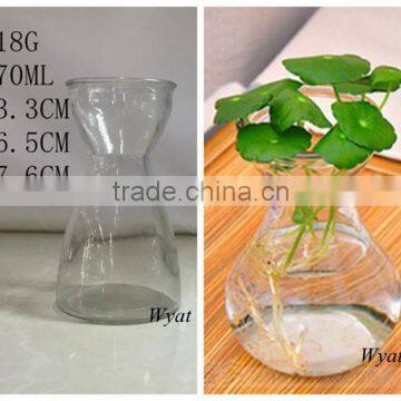 cheap glass bottle for plant simple glass bottle for home decoration