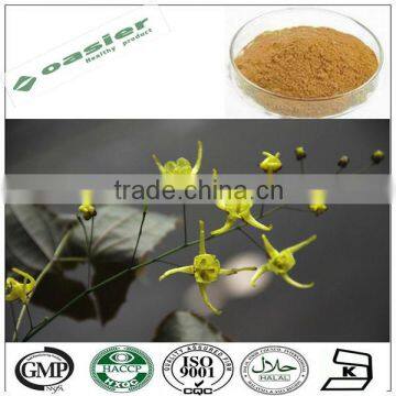 Natural GMP hot saleicariin extract epimedium