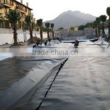 Good Sale Cheap Hdpe Sewage Geomembrane for Waterproof photo-4