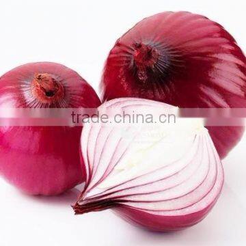 Yellow Onion/5-7cm chinese fresh onion