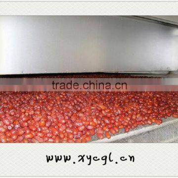 DW Mesh-belt Dryer For Jujuba