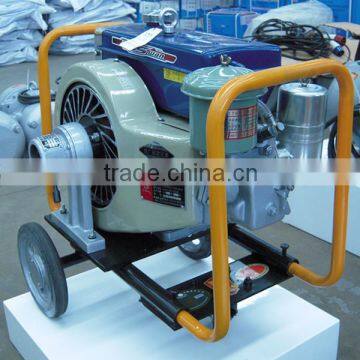 Diesel Concrete Vibrator for Sale photo-2