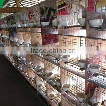 3 Tiers 12 Capacity Folding Rabbit Cages Cheap Prices Hot Sale Products photo-3