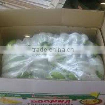 Tubopack LDPE Bags exported to Bolivia market