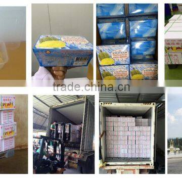 Thai Ao Chi Frozen Durian Monthong 450 B / box certified HACCP, ISO 22000 , GMP, HALAL and KOSHER Thai Ao Chi