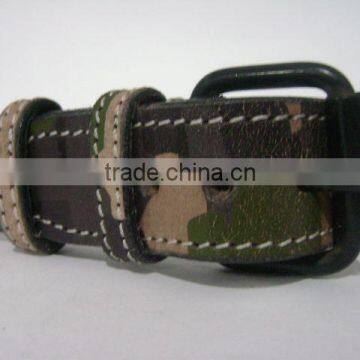 dog collar