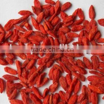 2015 NingXia frozen goji berry