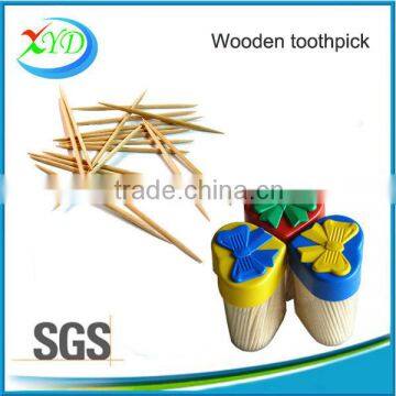 Birch Wooden Toothpicks Packed in Plastick Pot Plastick Picks photo-5