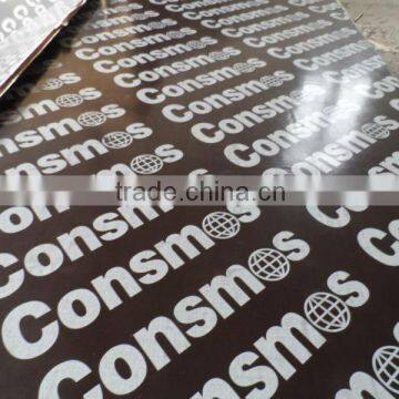 18mm Film Faced Plywood